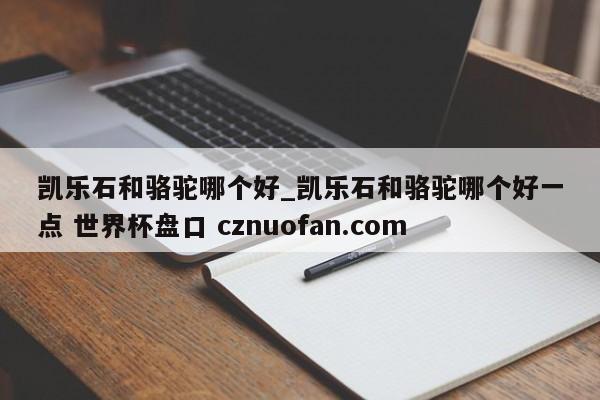 凯乐石和骆驼哪个好_凯乐石和骆驼哪个好一点 世界杯盘口 cznuofan.com