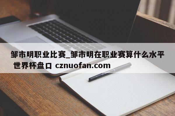 邹市明职业比赛_邹市明在职业赛算什么水平 世界杯盘口 cznuofan.com